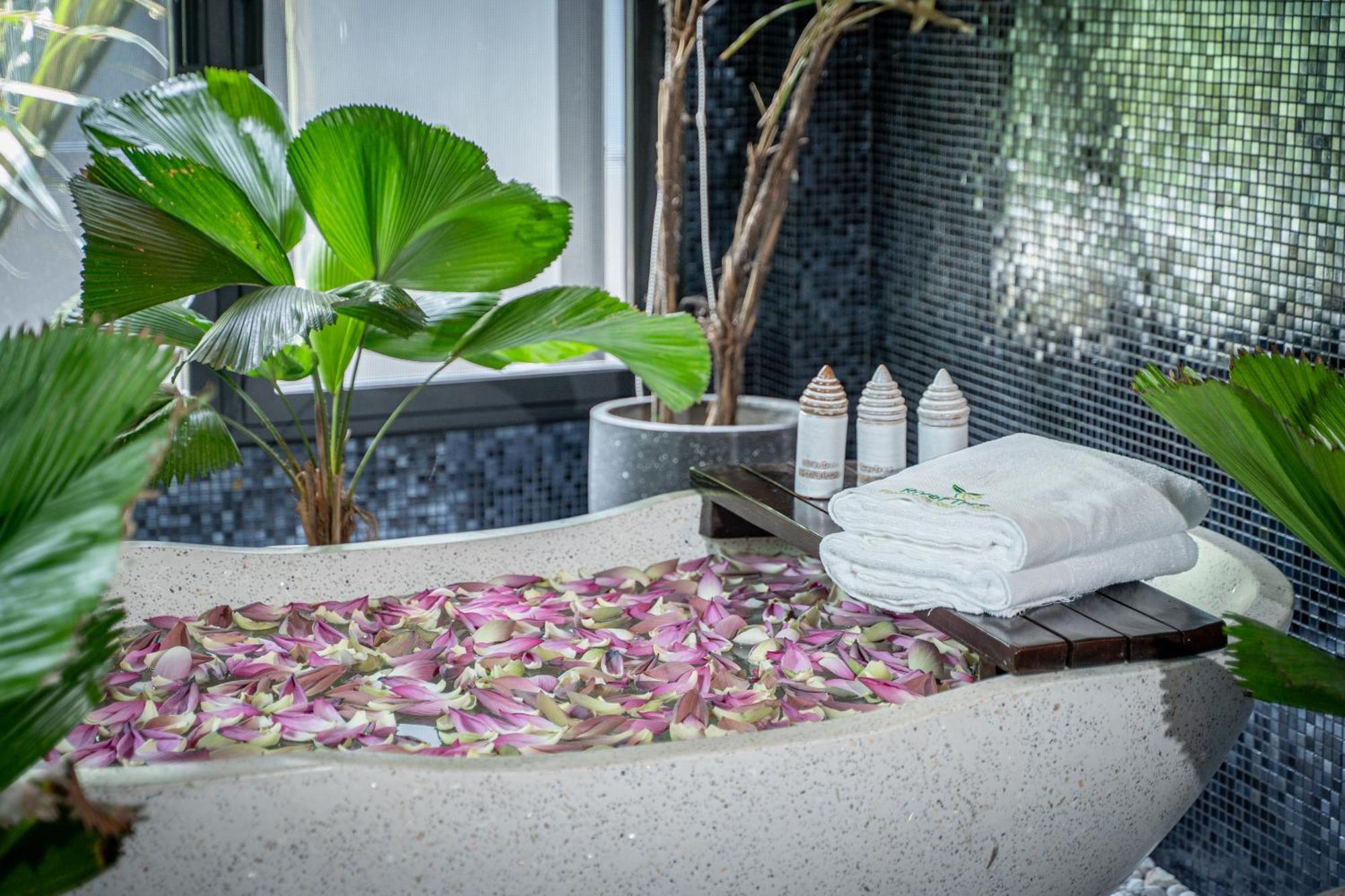 Rivertree Villa & Resort Kampot Buitenkant foto